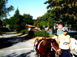 poneys au camping de gourjade poney au camping