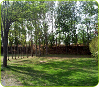 Emplacement pour les tentes et caravanes - Camping de Gourjade tentes et caravanes - Camping de Gourjade, Tarn