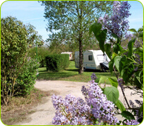 Emplacement pour camping-cars  et tentes - Camping de Castres 